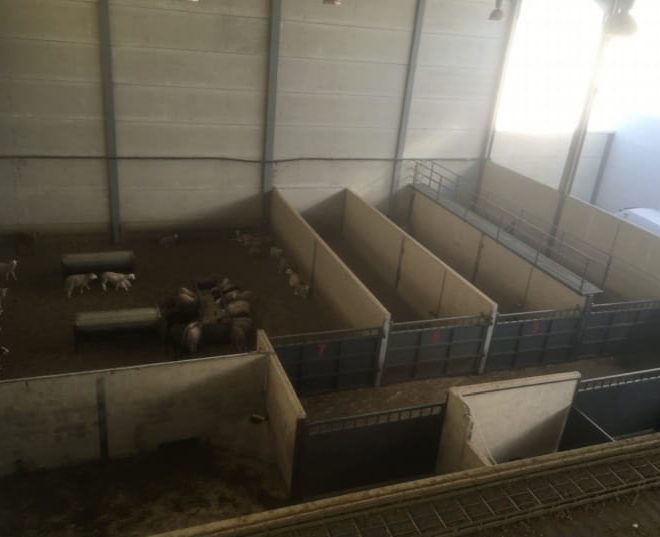 e29b0f02-6f2a-42d5-ab6b-017011fec9e4